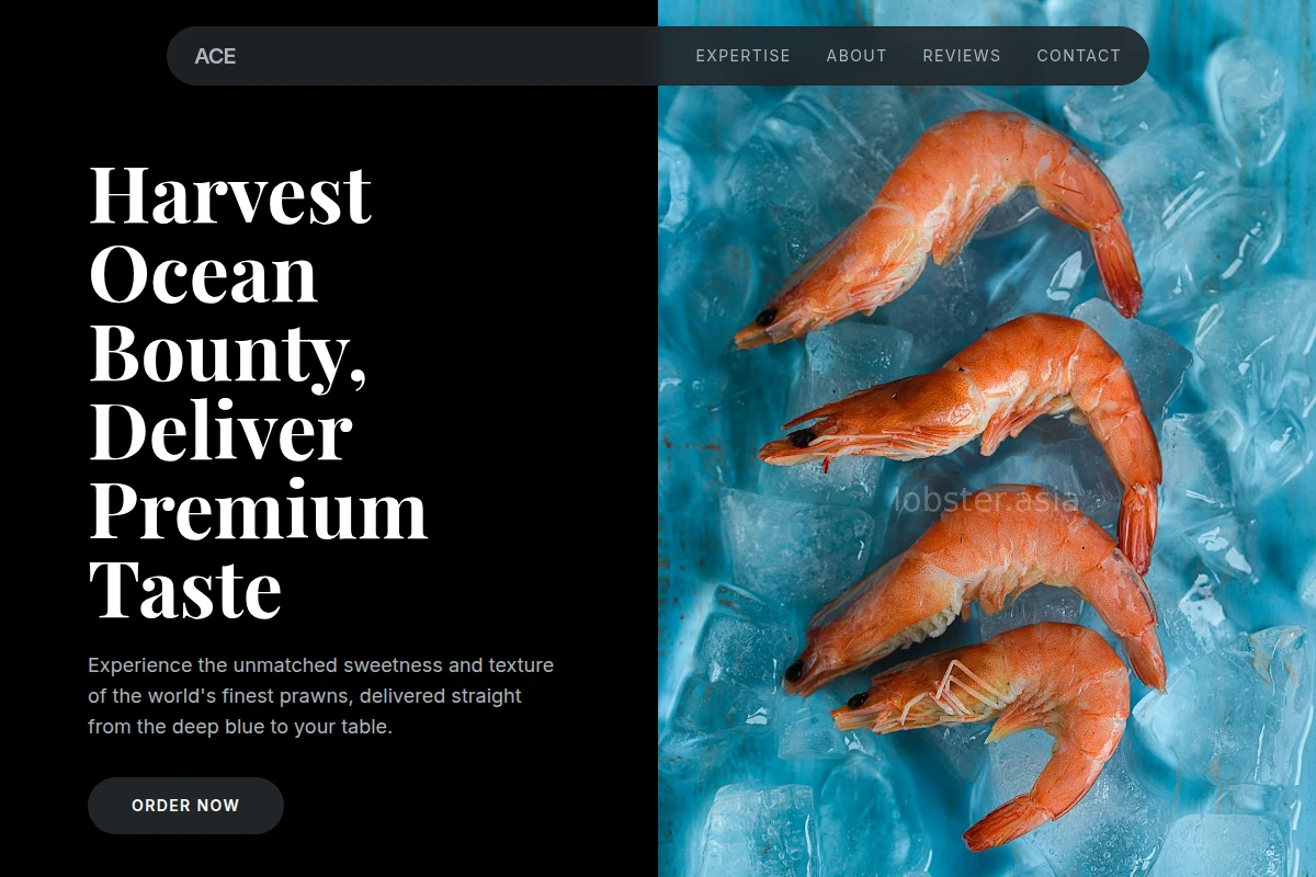 Prawn Seafood