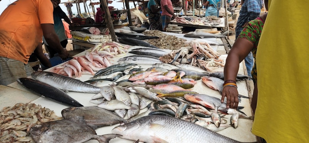 Premium Seafood