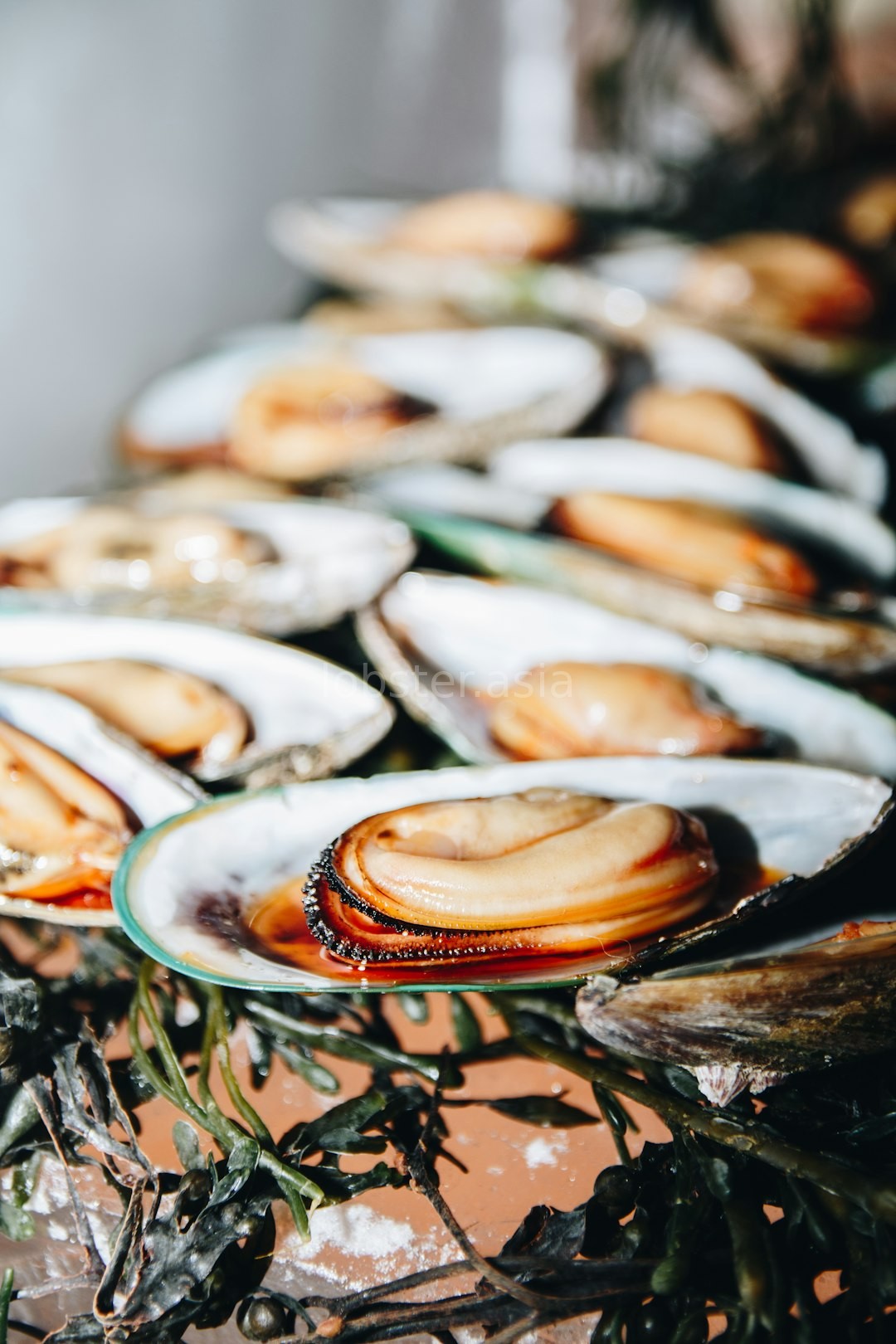 Reel 1