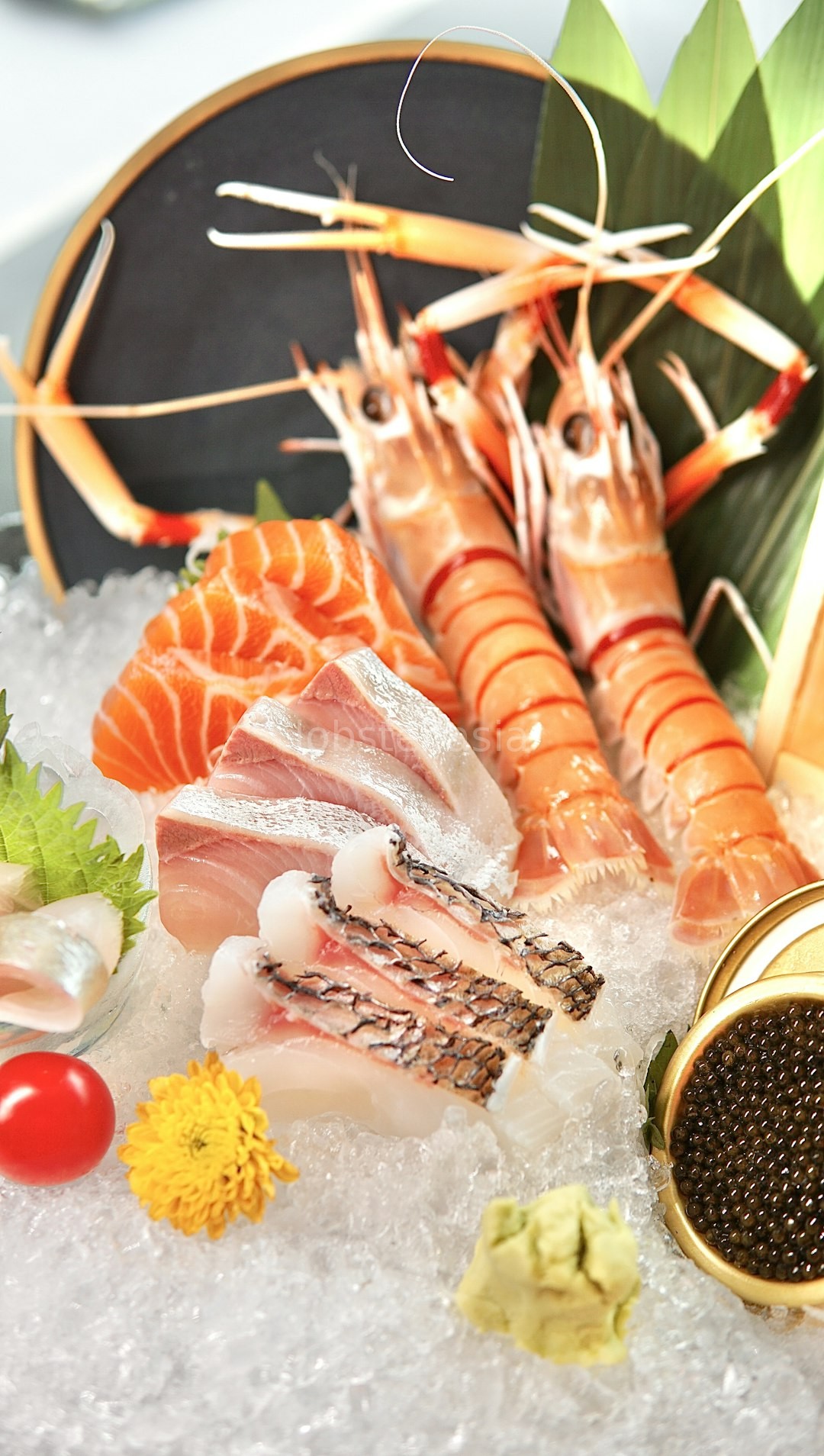 Premium Seafood