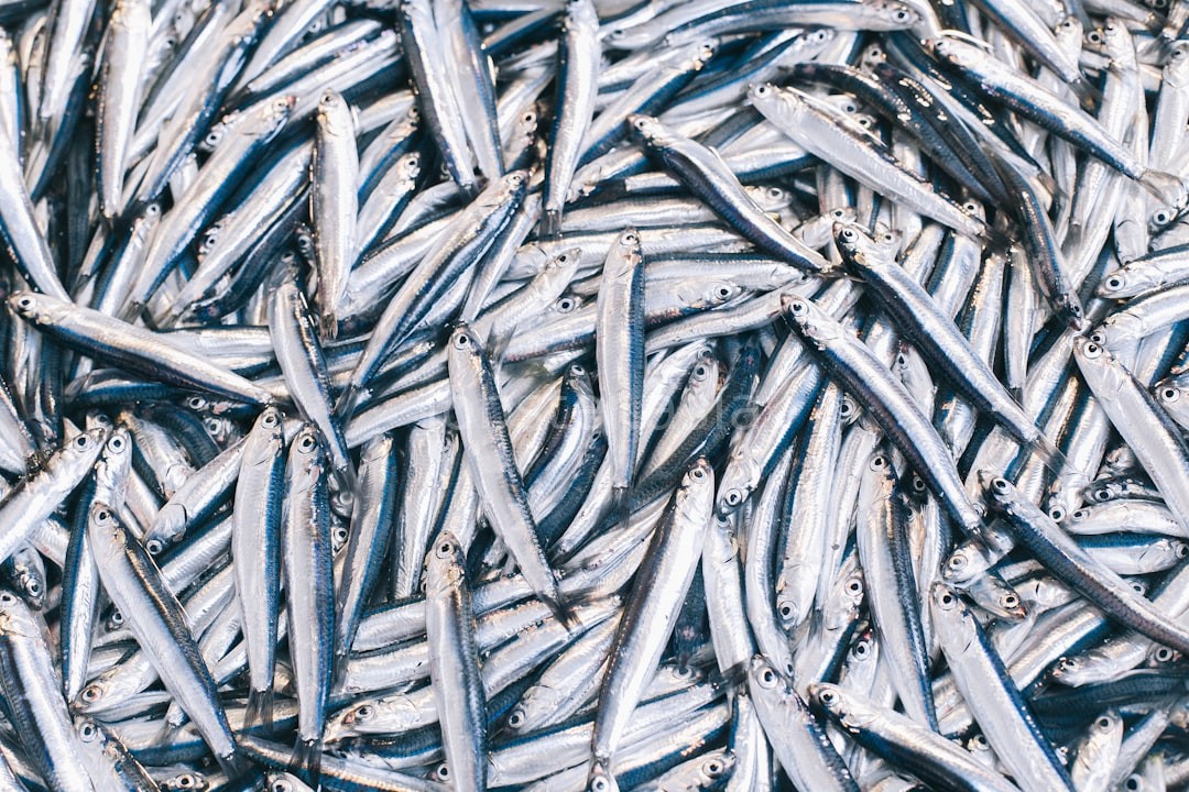 Specialty Seafood